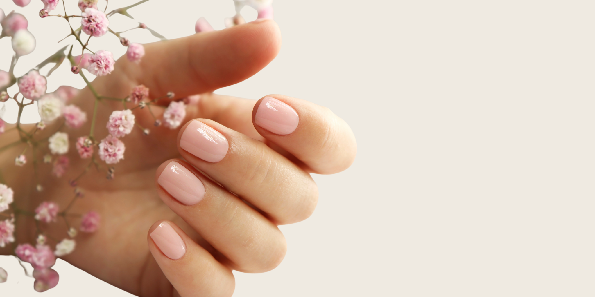 UNHAS