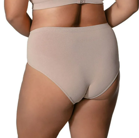 Grey Color Demillus Ultraleve High Waist Panties